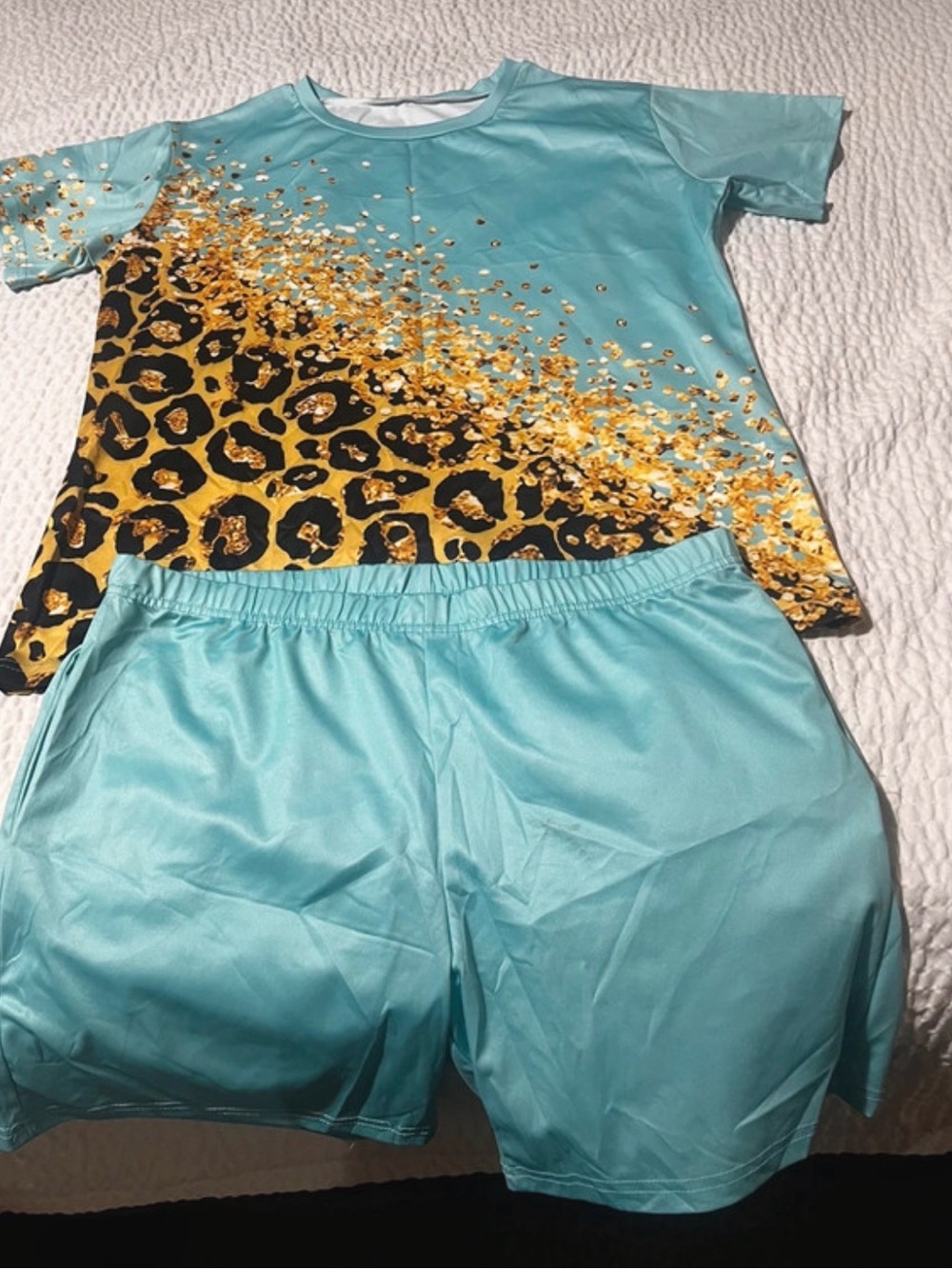 Women’s Aqua Leopard-Accent Shirt & Shorts Set